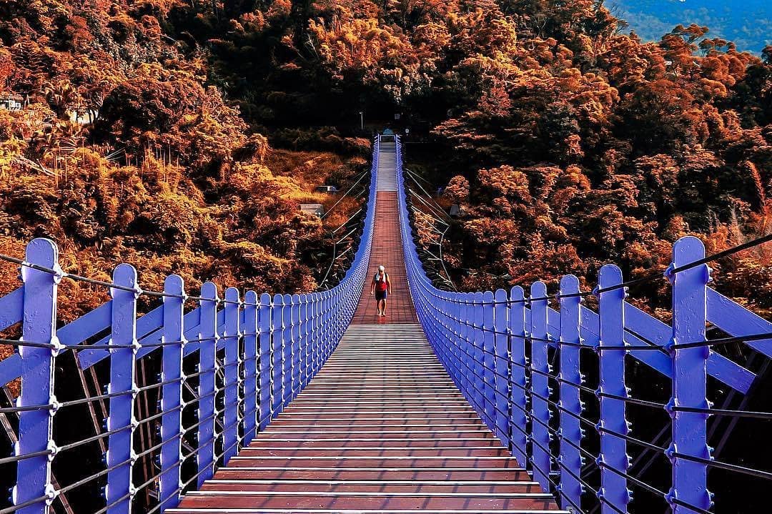 白石湖吊橋＆碧山巖夜景-內湖親子景點